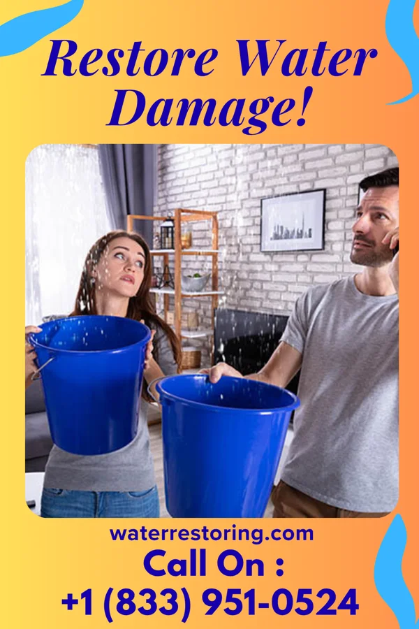 water restoration Ultimate Drying Specialists Deer Park